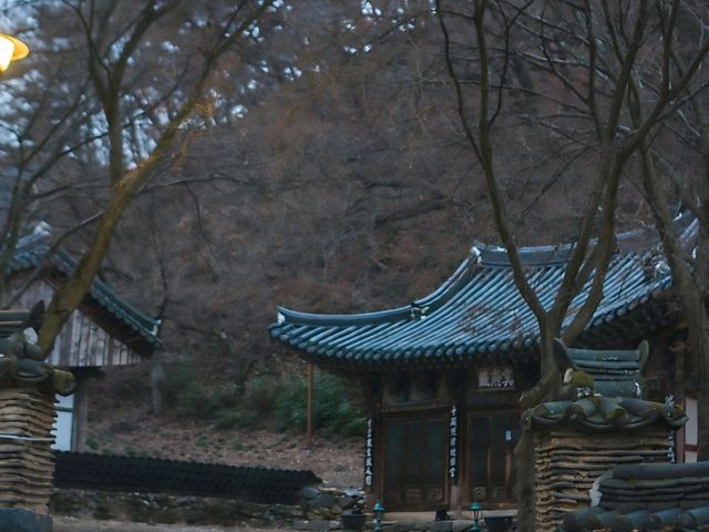 [공주] 역사와 고요가 공존하는 공주의 보물, 마곡사