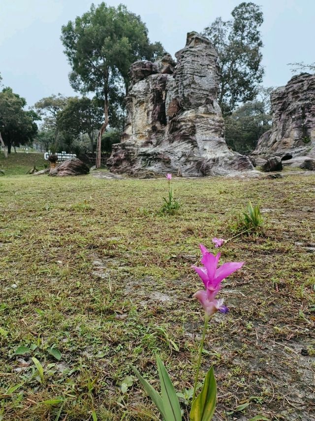 ป่าหินงาม แดนหินสวยรูปทรงอัศจรรย์