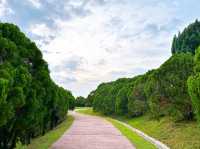 Morning Briskwalk at Taman Saujana Hijau