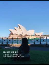 시드니에서 지겹도록 오페라하우스 구경하기
