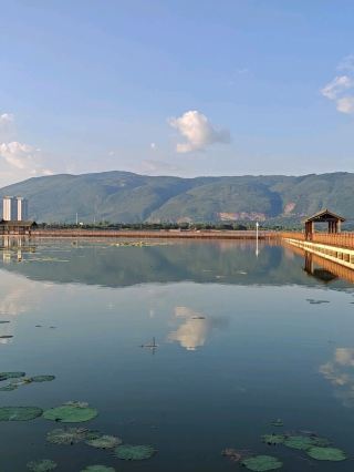 Yilong Lake (异龙湖) in 石屏 is a beautiful spot where you could easily spend the whole day strolling around. It’s a large freshwater lake in Shiping County, Honghe Prefecture, Yunnan, with a surface area of about 32 square kilometers (12 sq mi). The scenery is stunning, especially when the colorful lotus flowers are in bloom.
The lake reflects the blue sky like a giant mirror, creating a calm and peaceful vibe. It’s also a great place to hit your 10,000 steps on your tracker, and the sunsets are really pretty.
It’s definitely worth visiting twice—once in the morning and again in the evening (but best to skip noon time).