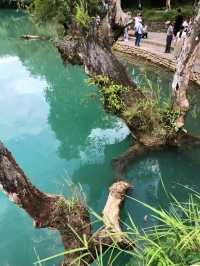 Find Stillness in the Wild Soul of Libo