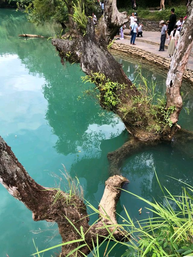Find Stillness in the Wild Soul of Libo