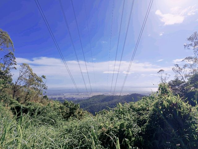 夏日深圳遊:鯤鵬徑第一段(手作步道部分) 夏日深圳遊:鯤鵬徑第一段(手作步道部分)