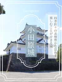 【小田原】いつ訪れても素敵な、季節ごとに表情豊かな景色を楽しむことができる城
