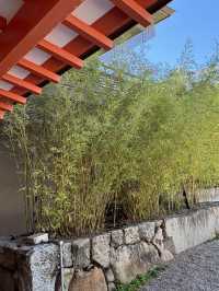 《神戶生田神社|紅色鳥居下的浪漫與歷史巡禮》