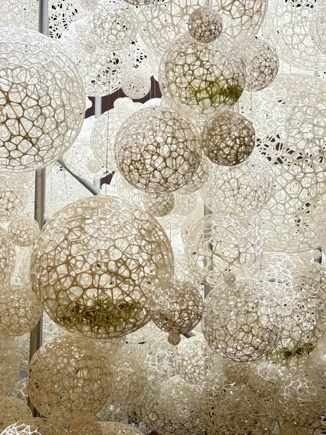 【東京・六本木】森美術館で建築の未来を体感する展覧会開催中🌲