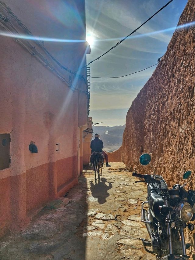“Algiers: The White Pearl of the Mediterranean”