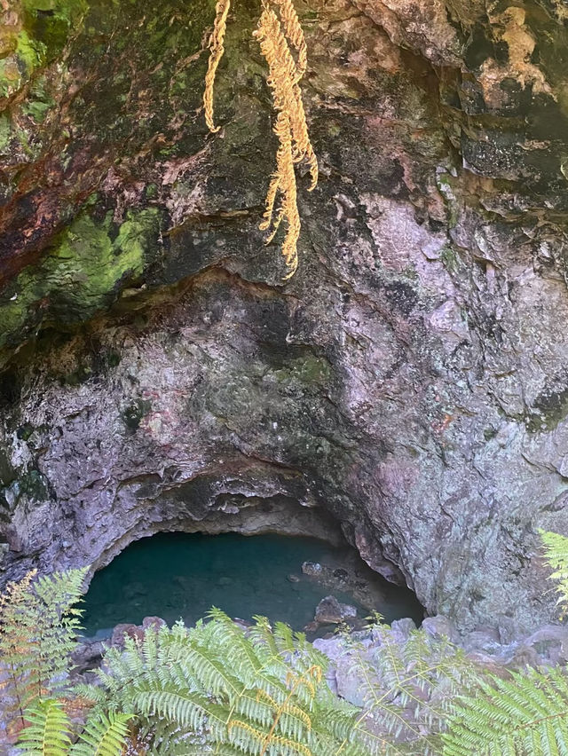 Waiotapu Thermal Wonderland: A Surreal Geothermal 