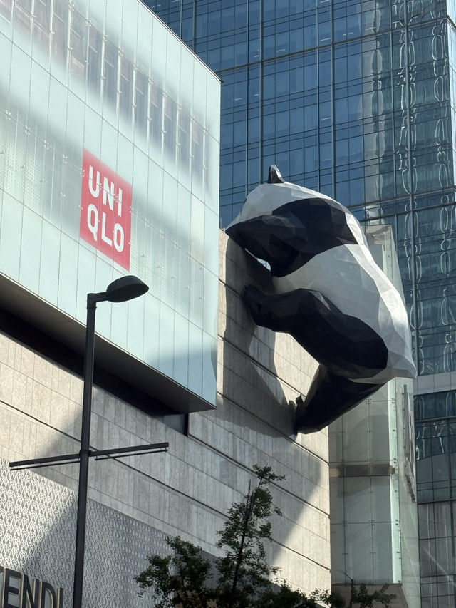 Chengdu Urban Chic🏙️