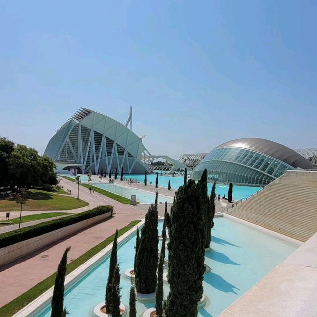 Ciutat de les Arts i les Ciències A Spectacular Modern Landmark in Valencia