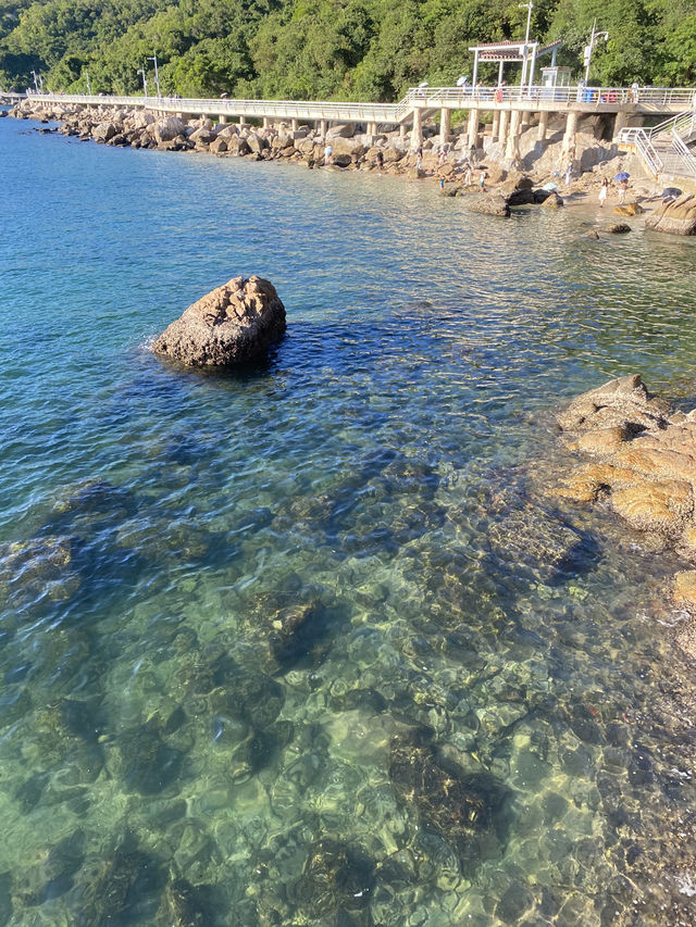 這個週末,就去小梅沙看果凍海吧🤩🤩 這個週末,就去小梅沙看果凍海吧🤩🤩