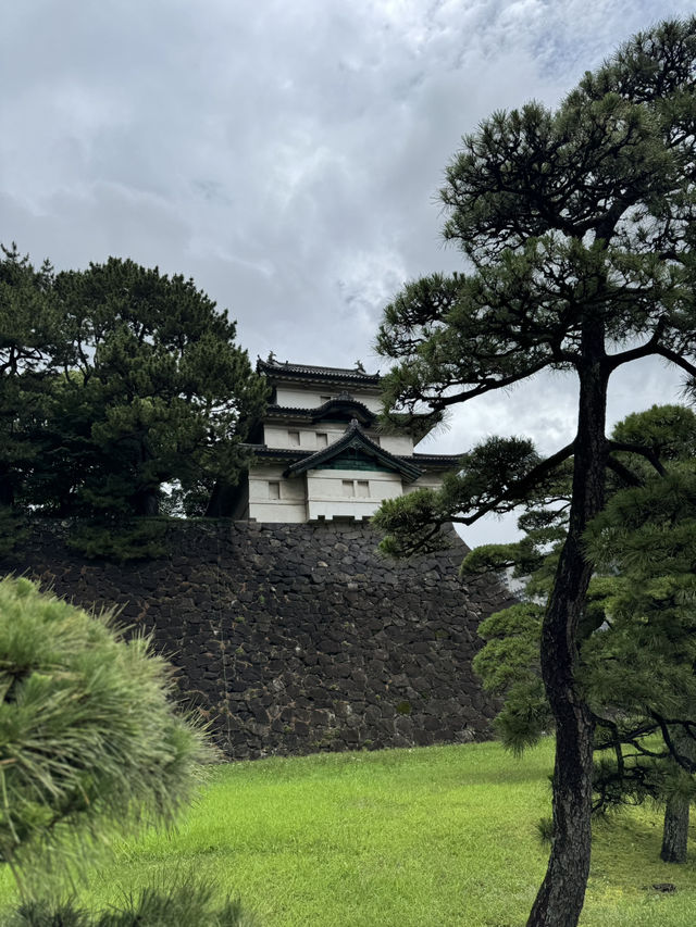Summer in Tokyo🌤️