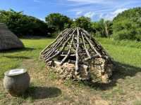 沖繩東海岸之美