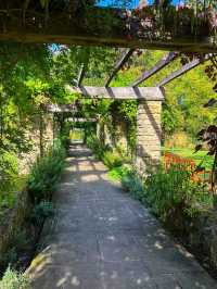 🏡 Step Back in Time at Winterbourne House & Garden 🌺 
