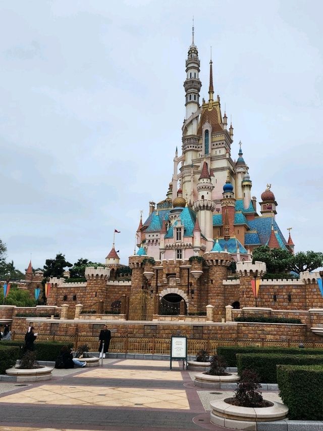 Disney Dreamland✨🏰🎢