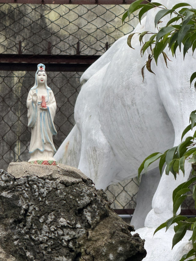 會安古鎮的會館群：宮廟煙火裡的鄉愁、信仰與文化延續