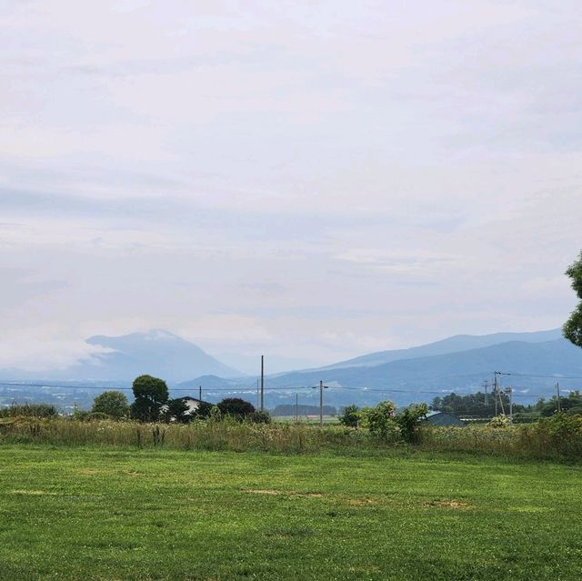 Lake Hill Farm: The Must-Try Ice Cream Spot in Toyako 🙌🍦