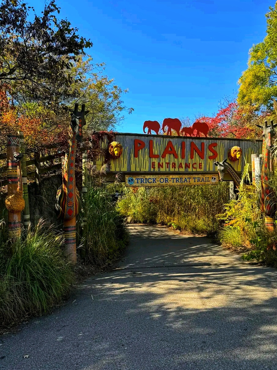 🦁 Adventure Awaits at the Indianapolis Zoo 🐧 