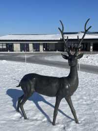 まるで異世界　北海道札幌のおすすめ観光スポット