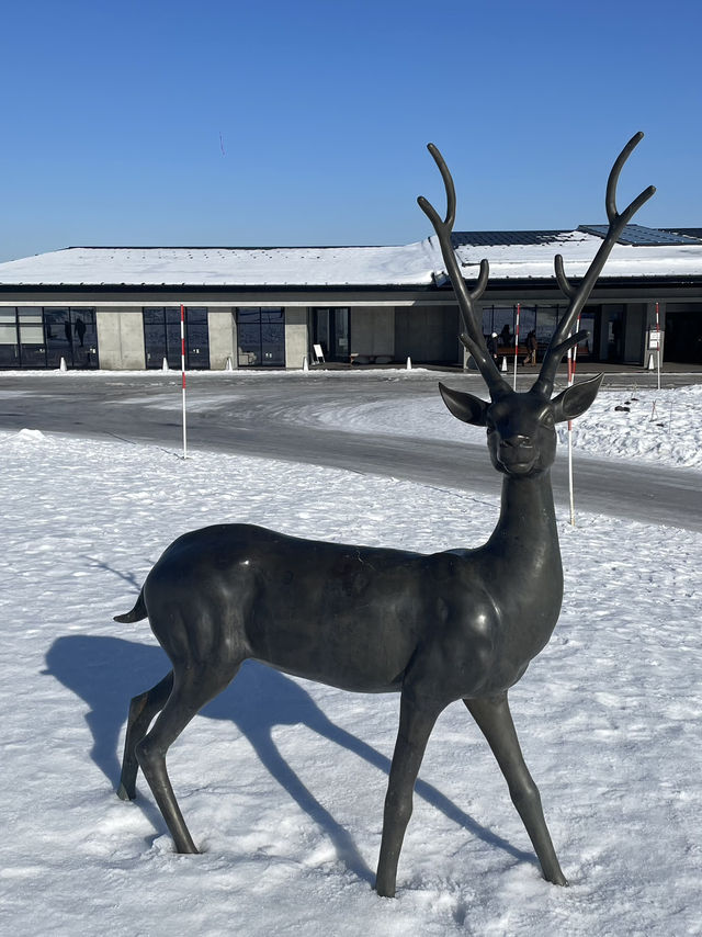 まるで異世界　北海道札幌のおすすめ観光スポット
