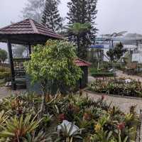 Talking Garden @ SkyAvenue Genting – Whispering Leaves & Interactive Green Spaces