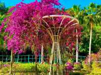 Green Escape in the City: Discovering Jordan Valley Park