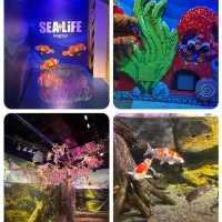 名古屋有名景點之一 Legoland及Sealife水族館