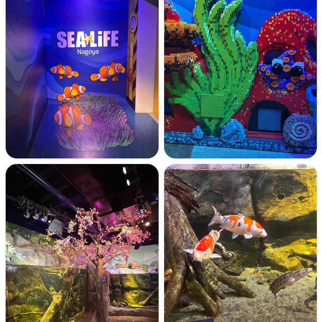 名古屋有名景點之一 Legoland及Sealife水族館