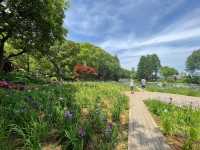 🌸 Ten-Mile Fragrant Path (十里芳径) — The Heart of Yuantouzhu 🌸