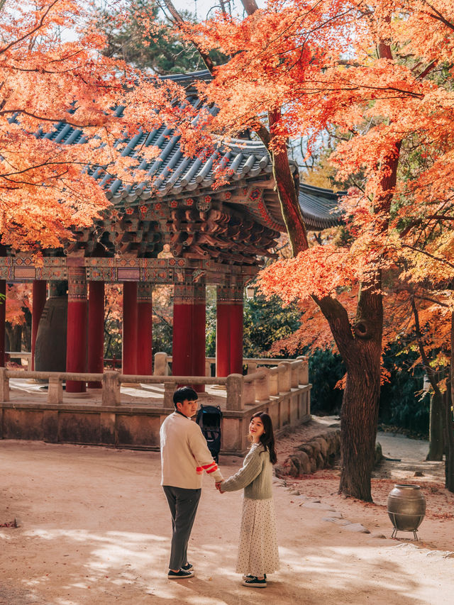 10월 경북 경주 여행 일정