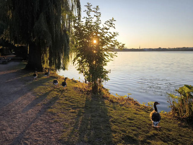 Alster Lakes Alster Lakes