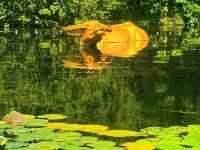 🌅 West Lake, Hangzhou – A Living Chinese Poem
