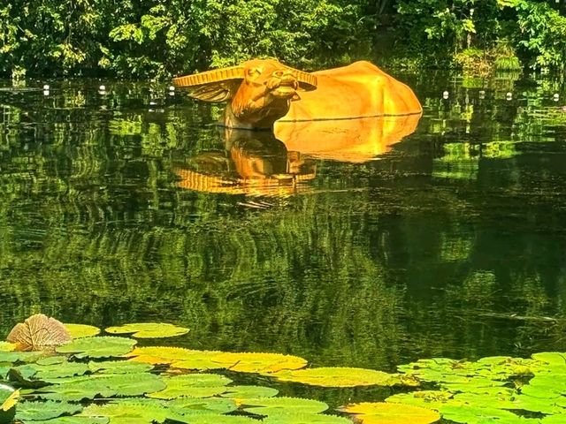 🌅 West Lake, Hangzhou – A Living Chinese Poem
