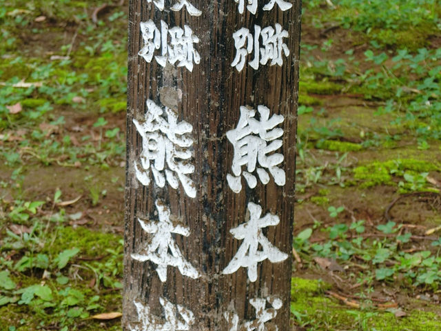 我是熊本熊不是臺灣黑熊哦 我是熊本熊不是臺灣黑熊哦