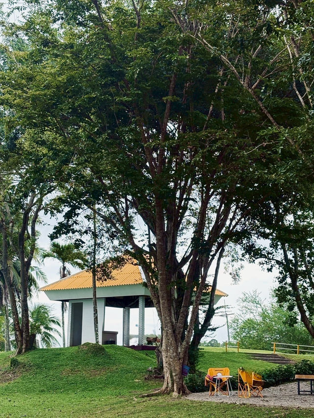ร้าน Cafe Nergy 🌳