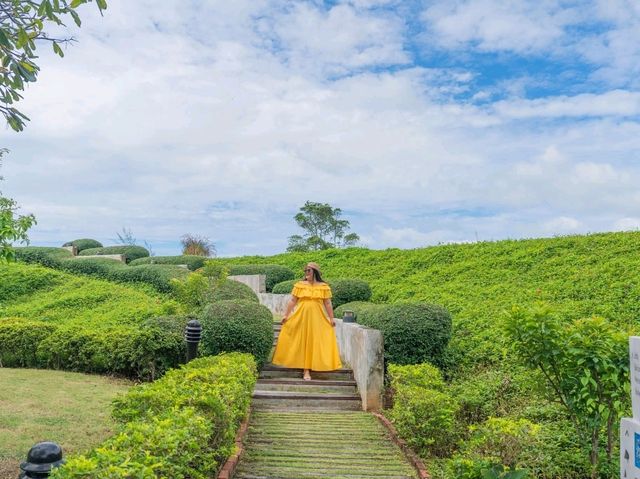 ที่พักติดทะเล สุดหรู ระยอง พาต้าวสี่ขาพักได้