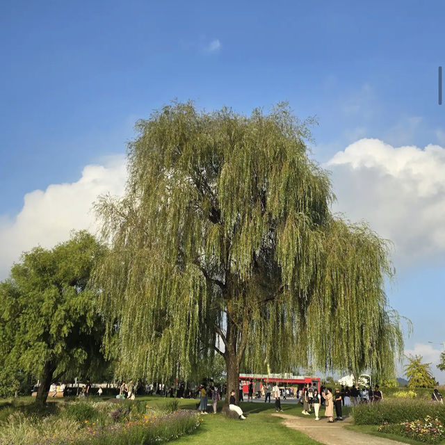 Suncheon Bay National Garden