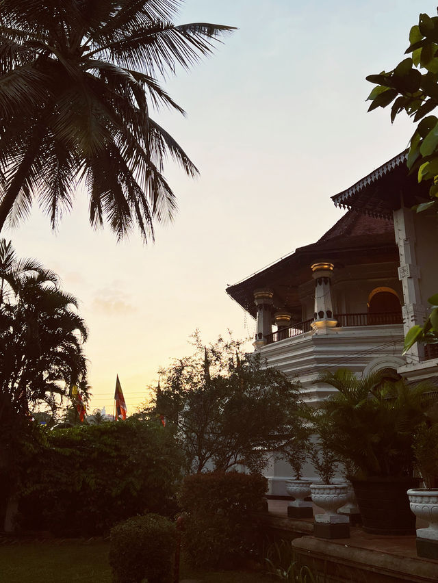 🇱🇰Sri Dalada Maligawa: Where the Sacred Tooth Relic Guards the Soul of Sri Lanka! 🙏