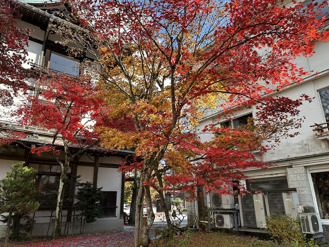 【秋の日光】おすすめスポット