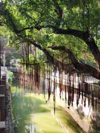 “Echoes of the Past — The Iconic Shangxiahang Canal of Fuzhou”