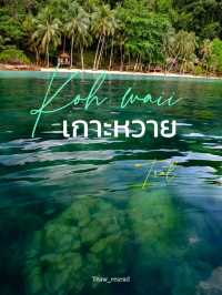 เกาะหวายพาราไดซ์