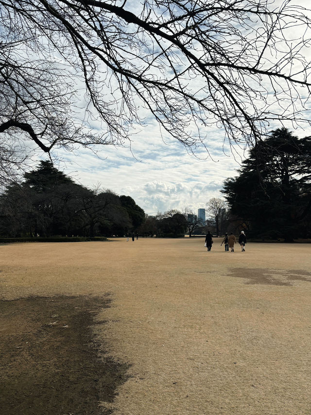 A Serene Walk at Shinjuku Gyoen 🌸
