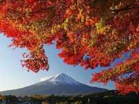 富士山と紅葉🗻🍁この景色はずるい！