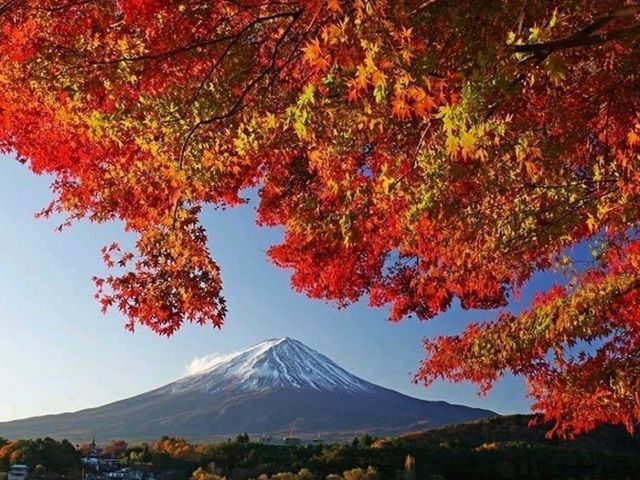 富士山と紅葉🗻🍁この景色はずるい！