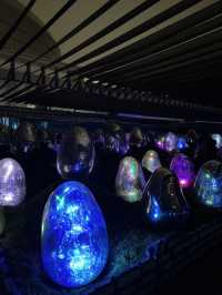 你一定要去的東京豐洲的 teamLab Planets！