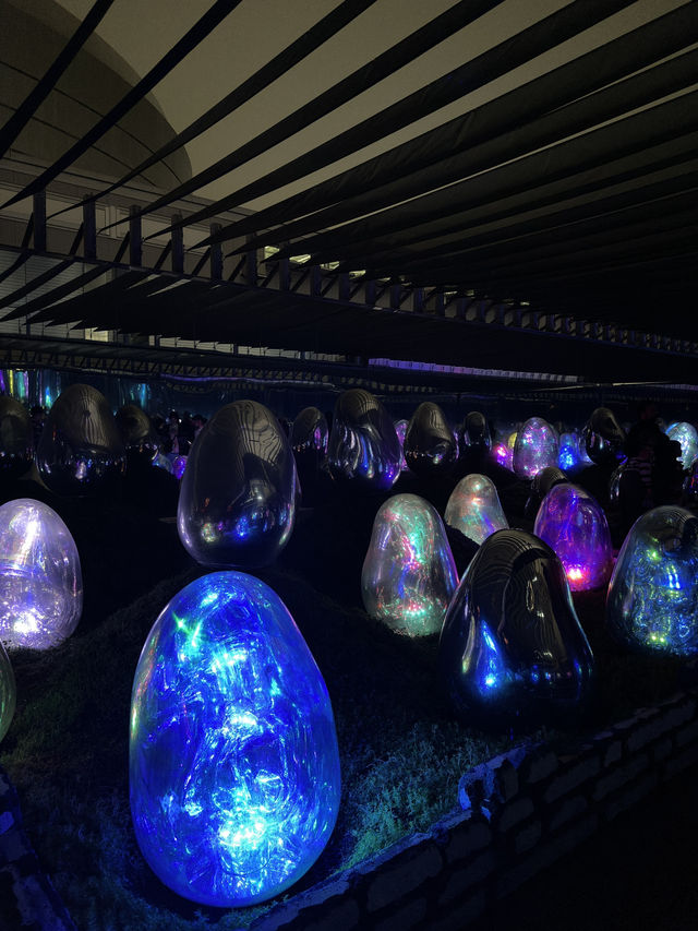 你一定要去的東京豐洲的 teamLab Planets！