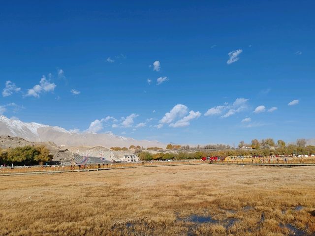 Autumn Wetlands and Snow-Capped Peaks Reflecting Each Other in Taxkorgan