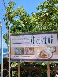 🌺 Ocean Views & Sweet Treats at Hana no Yosei, Atami