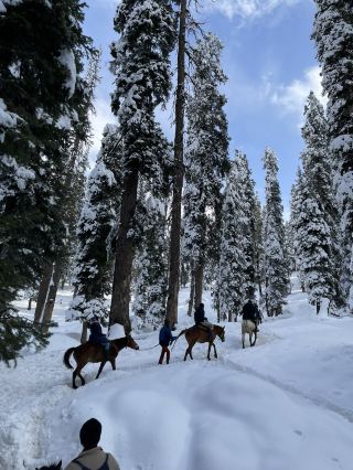 Kashmir Winter Wonderland❄️